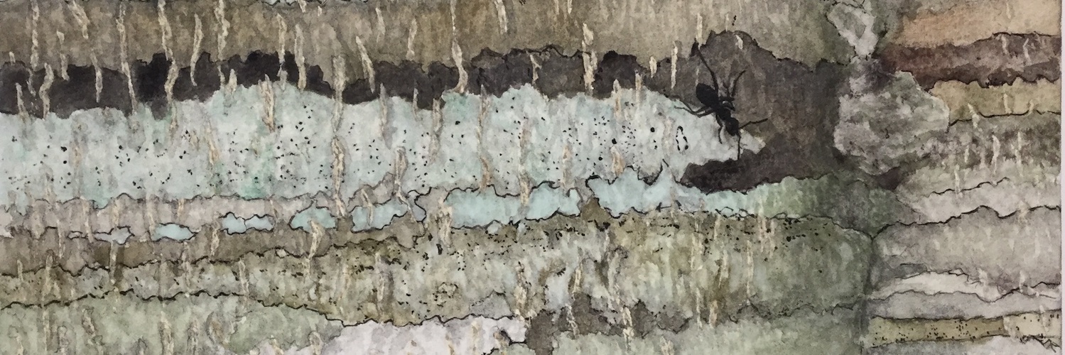 土に生きる、共に生きる