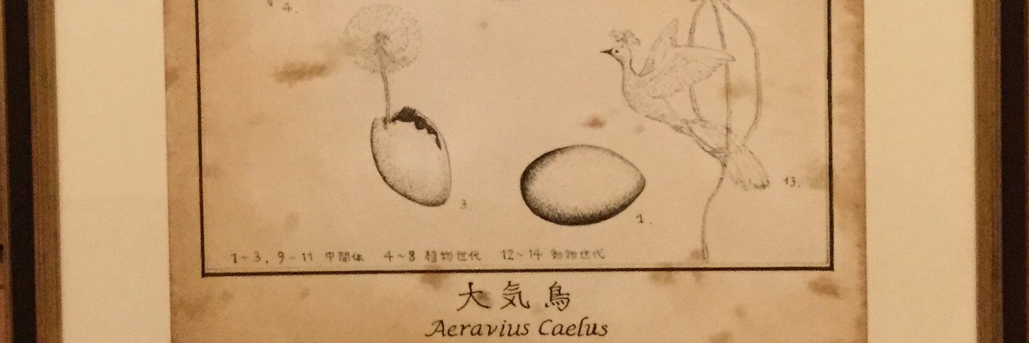 大気鳥生活環